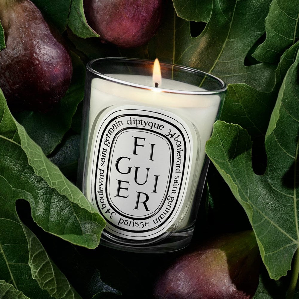 Figuier (Fig Tree) Classic Candle