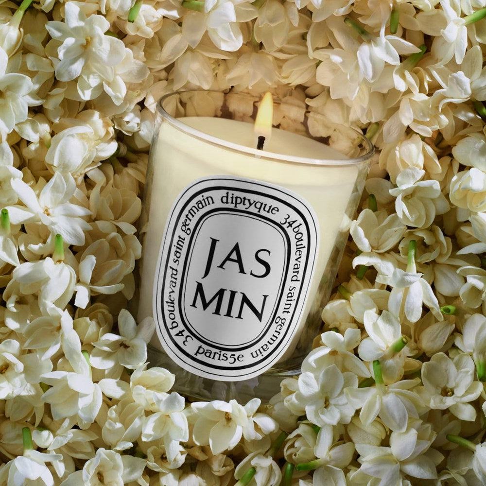 Jasmin (Jasmine) Classic Candle
