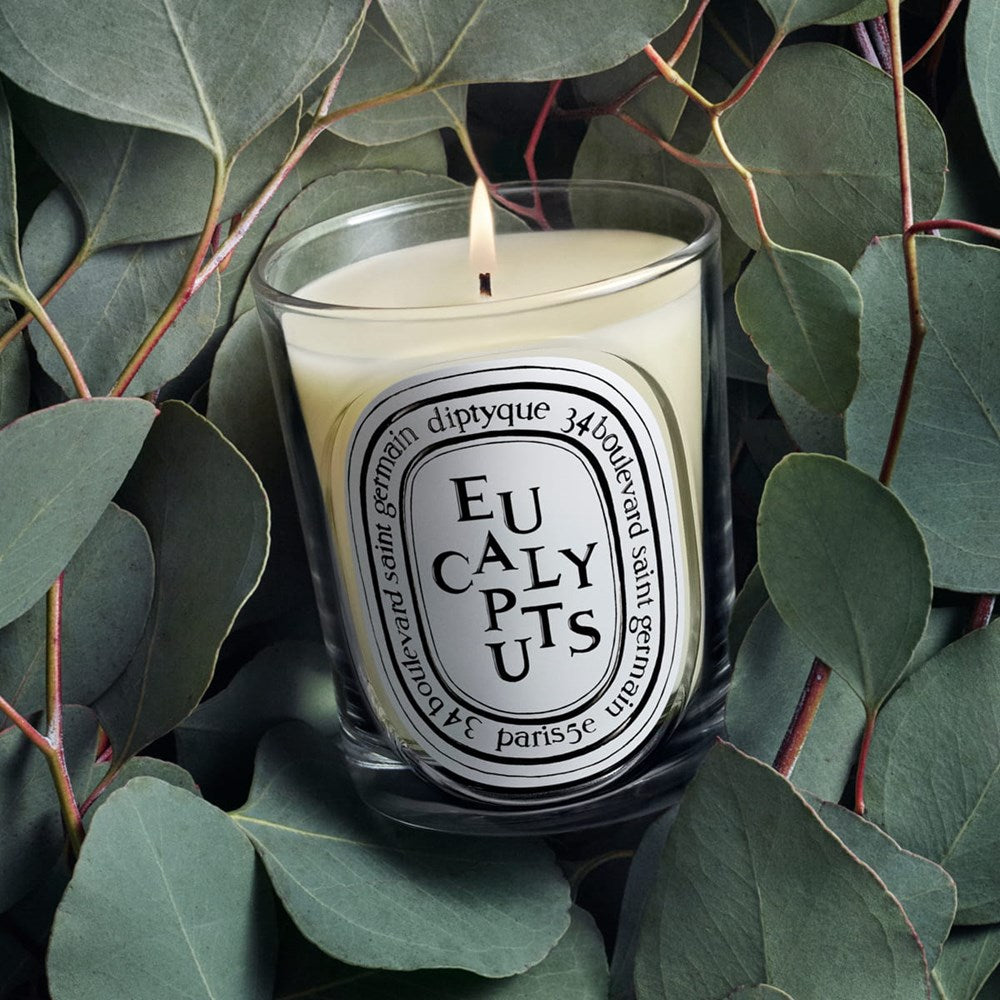 Eucalyptus Classic Candle