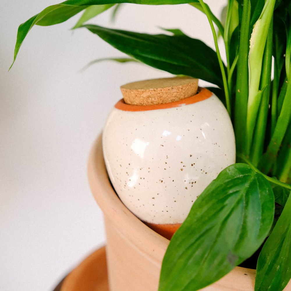 Hydrating Olla - Speckled White