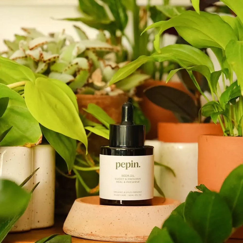 Neem Houseplant Oil